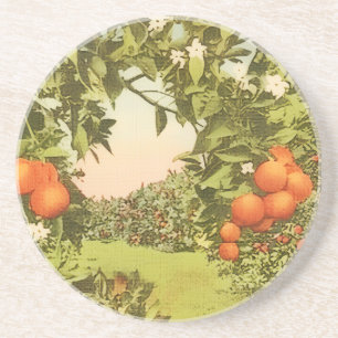 Vintage Orangenhain Getränkeuntersetzer