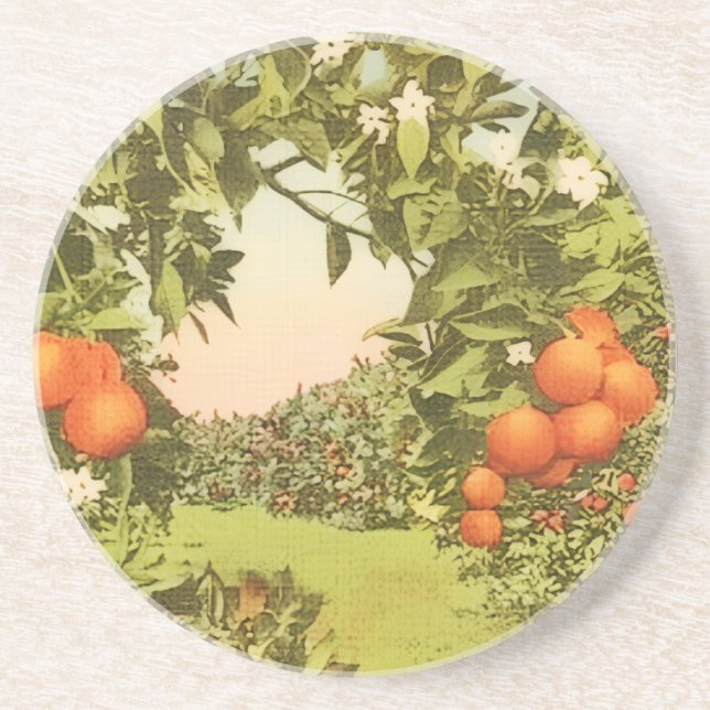 Vintage Orangenhain Getränkeuntersetzer (Vorne)