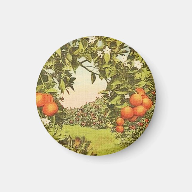 Vintage Orangenhain Magnet (Vorne)
