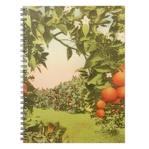 Vintage Orangenhain Notizblock