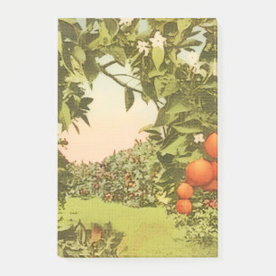 Vintage Orangenhain Post-it Klebezettel