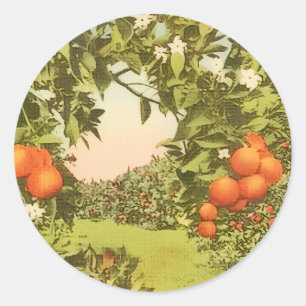 Vintage Orangenhain Runder Aufkleber