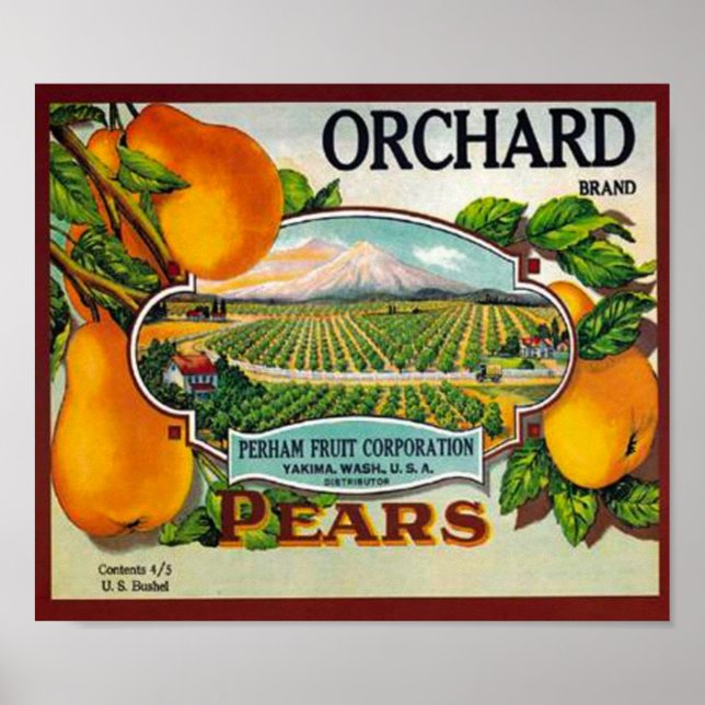 Vintage Orchard Birnen Poster (Vorne)