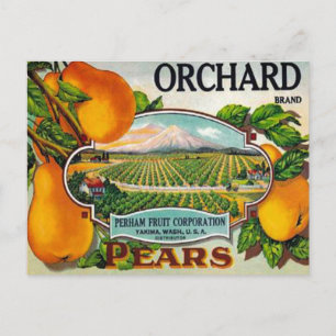 Vintage Orchard Birnen Postkarte
