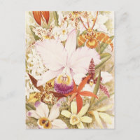 Vintage Orchid-Blume bläst Hübsches Blumendesign