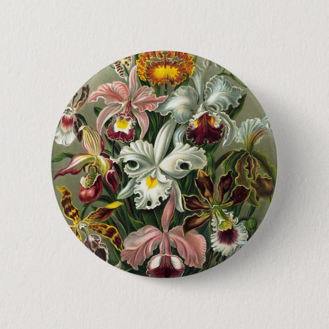 Vintage Orchideen-Illustration Button (Vorderseite)