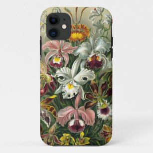 Vintage Orchideen-Illustration Ernst Haeckel Case-Mate iPhone Hülle
