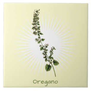 Vintage-Oregano-Kräuter-Botanik-Keramikfliese Fliese