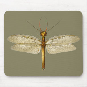 Vintage Ostdobsonfly-Illustration Mousepad