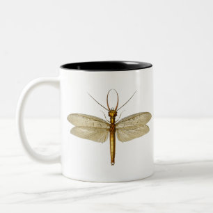 Vintage Ostdobsonfly-Illustration Zweifarbige Tasse