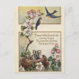 Vintage Osterblauvögel und Nestgrüße Feiertagspostkarte