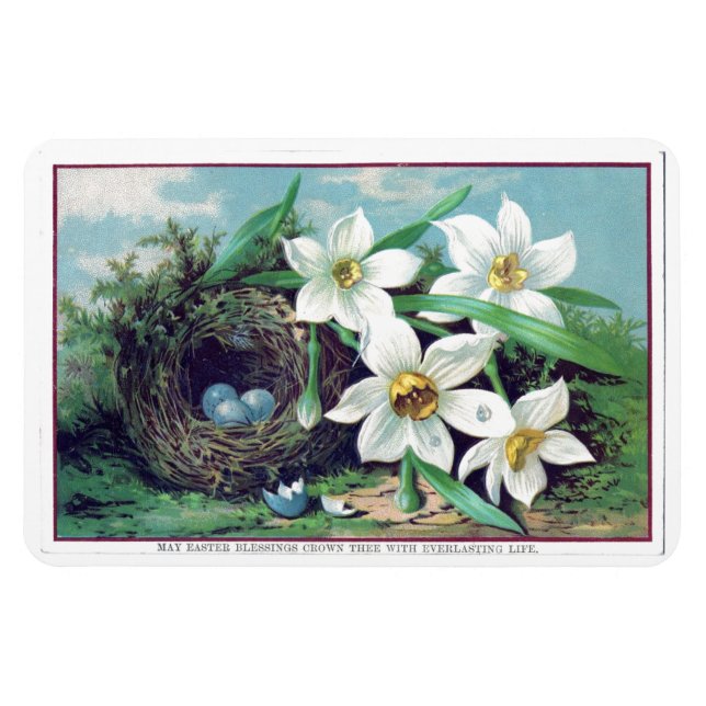 Vintage OsterBlume Magnet (Horizontal)