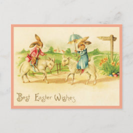 Vintage Osterbrunnens und Lämmer Postkarte