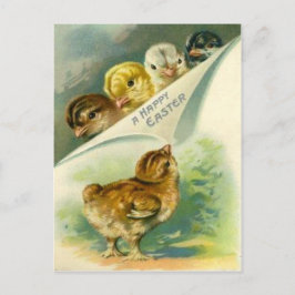 Vintage Osterchicks Osterkarte Feiertagspostkarte