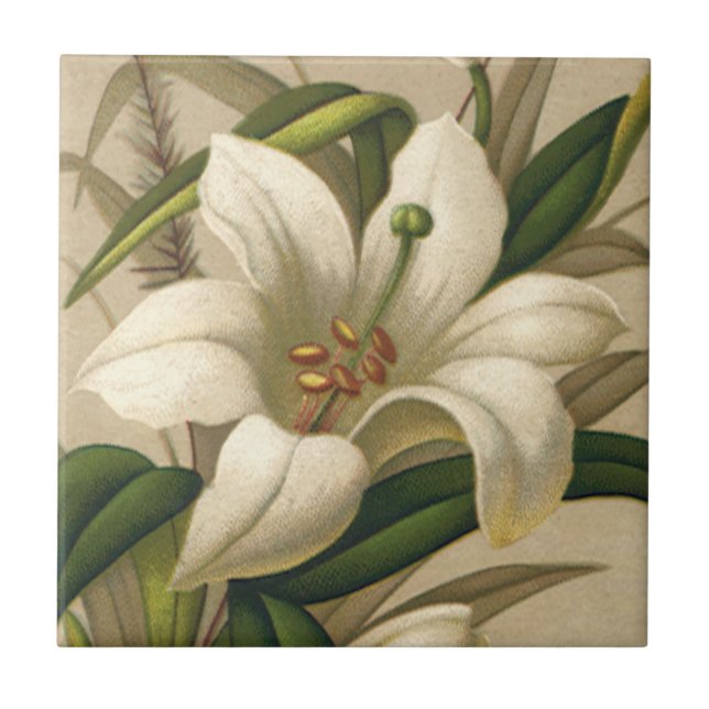 Vintage Osterlilien, Viktorianische Blume im Blut Fliese (Vorderseite)