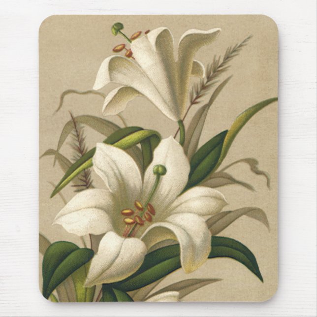 Vintage Osterlilien, Viktorianische Blume im Blut Mousepad (Vorne)