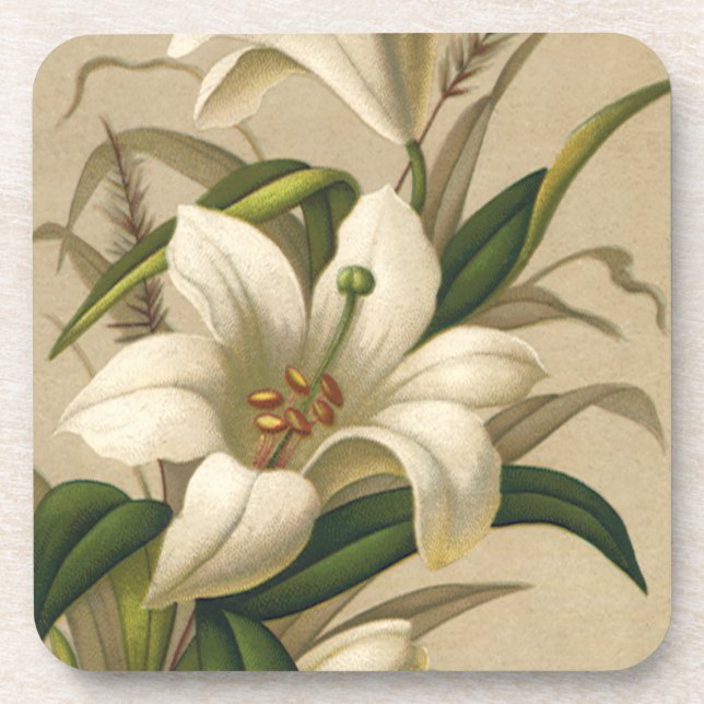 Vintage Osterlilien, Viktorianische Blume im Blut Untersetzer (Vorderseite)