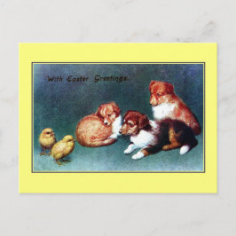 Vintage Ostern-Grüße 1906; colli Welpen Feiertagspostkarte