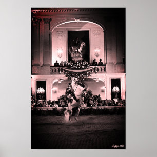 Vintage Österreich Wien Spanische Courbette Poster