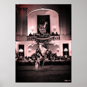 Vintage Österreich Wien Spanische Courbette Poster