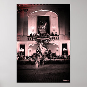 Vintage Österreich Wien Spanische Hofreitschule Poster