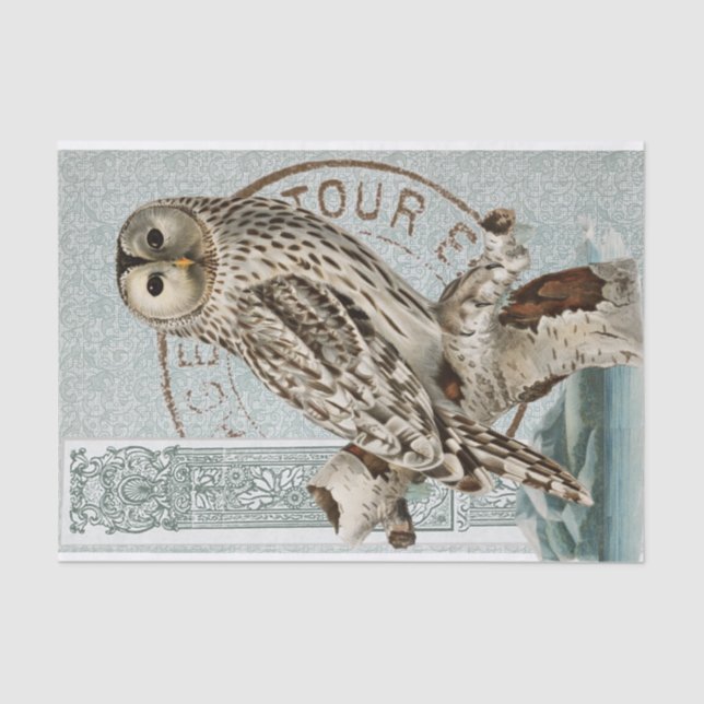 Vintage Owl Bird Aquamarin Decoupage Französisches Seidenpapier (Vorderseite)