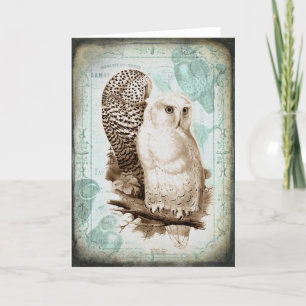 Vintage Owl Couple Grußkarte Karte