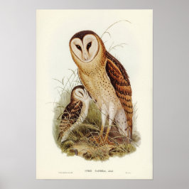 Vintage Owl Illustration Poster