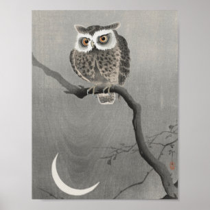 Vintage Owl Illustration Poster