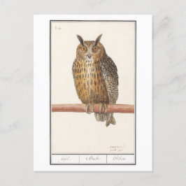 Vintage Owl Illustration Postkarte