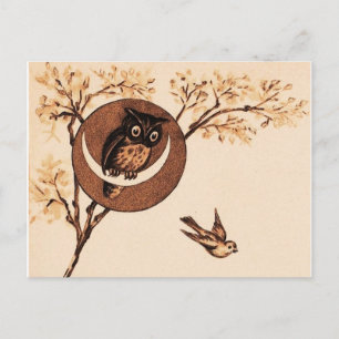 Vintage Owl in Moon Postkarte