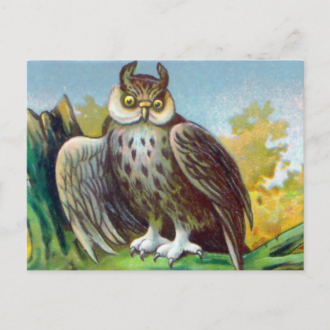 Vintage Owl Postkarte (Vorderseite)