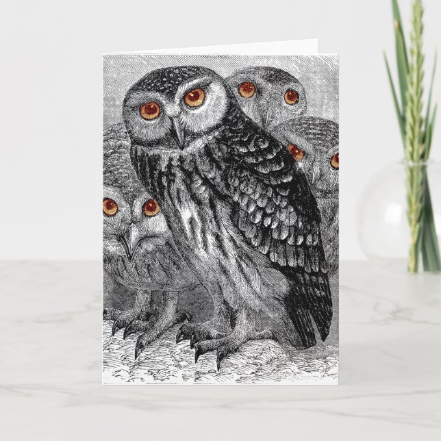 Vintage Owls Grußkarte Karte (Vorderseite)