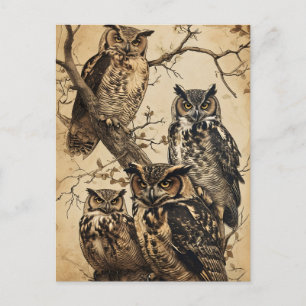 Vintage Owls kunstvoll Postkarte