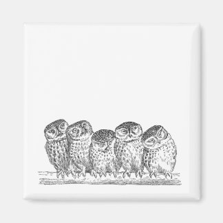 Vintage Owls Magnet