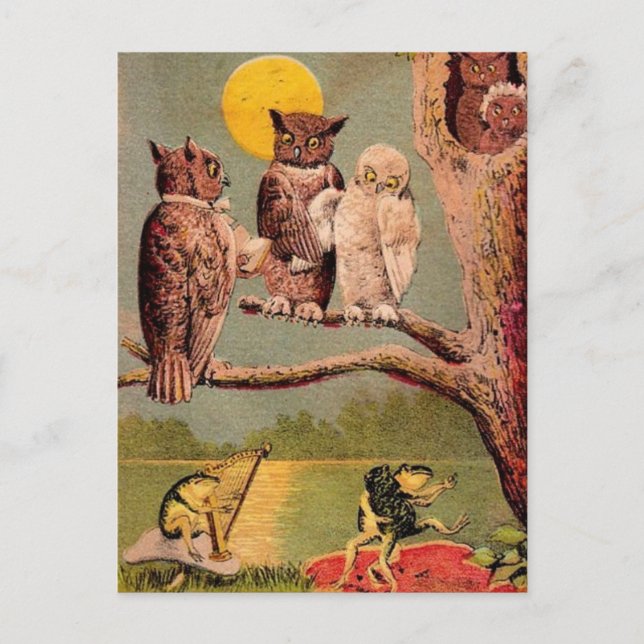Vintage Owls Postkarte (Vorderseite)