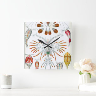 Vintage-Ozean-Tiere, Copepoda von Ernst Haeckel Quadratische Wanduhr