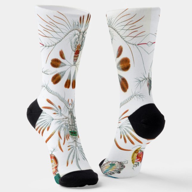 Vintage Ozeantiere, Copepoda von Ernst Haeckel Socken (Gewinkelt)