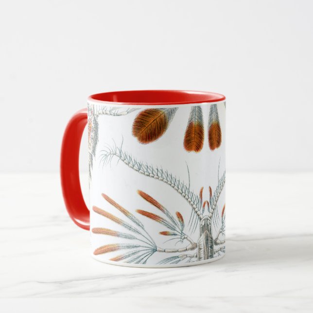 Vintage Ozeantiere, Copepoda von Ernst Haeckel Tasse (Vorderseite Links)
