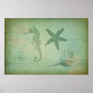 Vintage Ozeantiere und Muscheln Poster