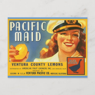 Vintage Pacific Maid Zitronen Sailor Gal Postkarte