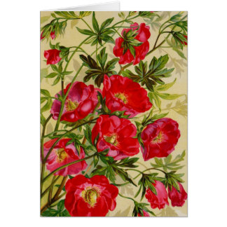 Vintage Packkarten für Saatgut, Porto, Geschenke