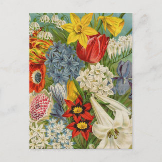 Vintage Packkarten für Saatgut, Porto, Geschenke Postkarte