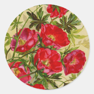 Vintage Packkarten für Saatgut, Porto, Geschenke Runder Aufkleber