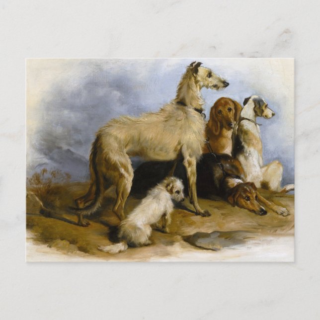 Vintage painting of five cute dogs postkarte (Vorderseite)