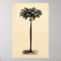 Vintage Palm-Baum-Vorlage für tropische Inseln