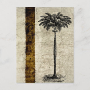 Vintage Palm-Baum-Vorlage Postkarte