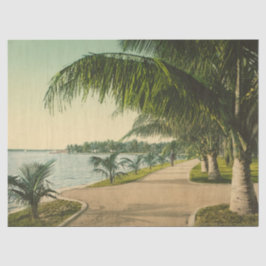 Vintage Palm Beach Florida 1898 Szene Seidenpapier