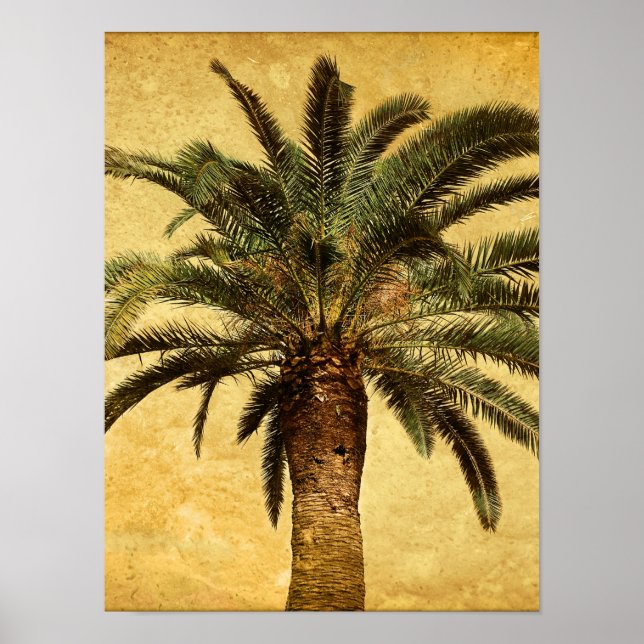 Vintage Palm Tree - angepasste tropische Vorlage Poster (Vorne)