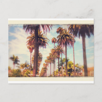 Vintage Palm Tree Postkarte